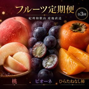 【7・8・10月 全3回】紀州和歌山産旬のフルーツセット（桃・ピオーネ・ひらたねなし柿）定期便 【魚鶴商店】【UT67】 303446_XF91136