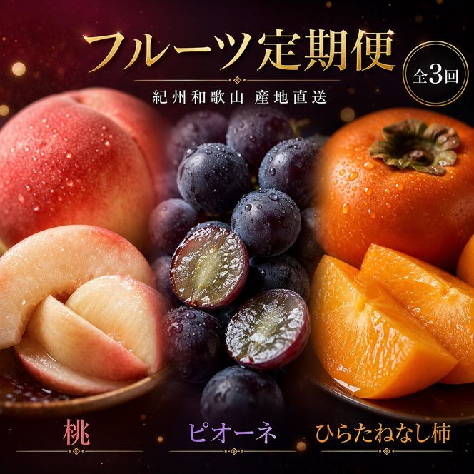 【7・8・10月 全3回】紀州和歌山産旬のフルーツセット（桃・ピオーネ・ひらたねなし柿）定期便 【魚鶴商店】【UT67】 303446_XF91136