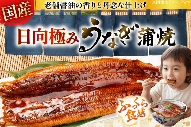 うなぎ 国産 日向極み うなぎ蒲焼 2尾 計240g以上 【たれ・山椒付き】 [日向サンパーク 宮崎県 日向市 452061502] ギフト 小分け 真空パック 鰻 ウナギ うなぎの蒲焼 蒲焼 蒲焼き