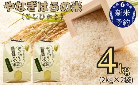 【令和6年産 新米予約】「やなぎはらの米　こしひかり」4㎏ (6-39)