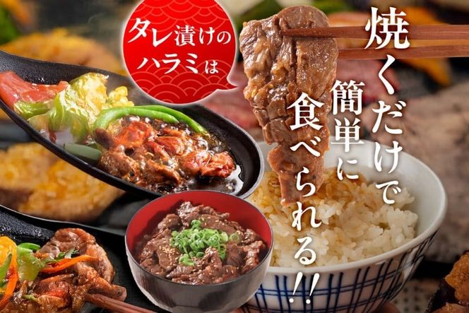 牛肉 焼肉 国産 特製たれ漬 牛ハラミ サガリ 500g [宇美ホルモン 福岡県 宇美町 um40azp100003] ハラミ はらみ 牛はらみ 小分け 個包装 牛 肉 焼き肉 ホルモン タレ漬け たれ漬け