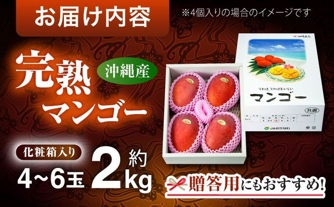 【先行予約 2026年発送 予約受付】 完熟マンゴー 約2kg (4～6玉 / 化粧箱・秀品) マンゴー 沖縄 果物 フルーツ ギフト 沖縄市 / ちゃんぷる～市場 [BCAA004]