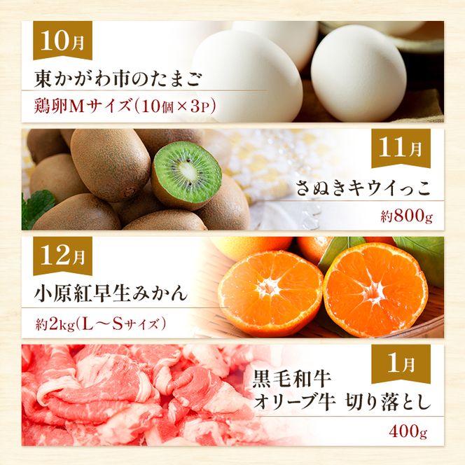 東かがわ市ちょこっと定期便(12回) 卵 キウイ 黒毛和牛 みかん いちご 讃岐うどん アスパラ トマト メロン コーン 豚肉 シャインマスカット 香川