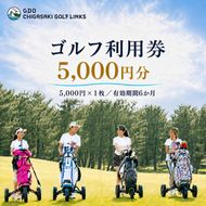 ゴルフ場 神奈川 GDO茅ヶ崎ゴルフリンクス 5,000円分　利用券 ゴルフ ゴルフ場利用権 ラウンド 運動 健康 スポーツ 自然 コース