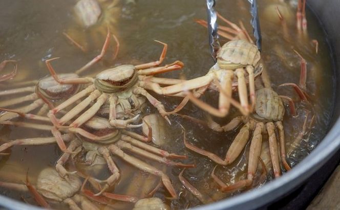 新物 セコガニ コッペがに ほぐし身（特特大サイズ）3個セット 甲羅盛り 蟹 カニ かに 松葉蟹 松葉ガニ ズワイガニ ボイル myz05 myz11 myz16