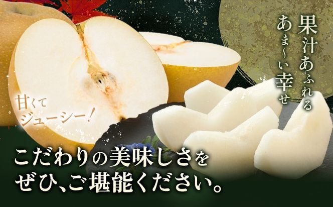 梨 秀品 秋月梨 選べる内容量 約1.8kg 約5kg 約10kg 日本フルーツ《9月上旬-9月末頃出荷》熊本県 長洲町 なし 梨 果物 フルーツ デザート ギフト ご贈答---sn_cnfakn_ac9_r8_10000_1800g---