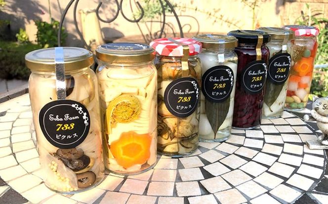 お任せピクルス５本セット化粧箱入り《築上町》【ERBA FARM733】 [ABAP006] 19000円[ABAP006]