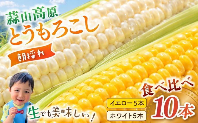 【先行予約】 朝採れ 蒜山高原 とうもろこし ミックス10本 | 7月下旬～8月上旬頃出荷予定 数量限定 人気 朝採れ 新鮮 スイートコーン トウモロコシ 高糖度 甘い 夏野菜 岡山県 真庭市 産地直送 ギフト 【配送不可地域：北海道／沖縄県／離島】【jujy003-02】