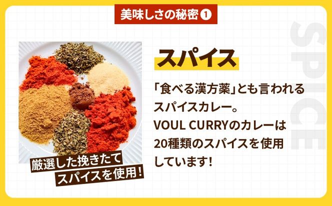 冷凍VOULチキンカレー6食セット　K315-002