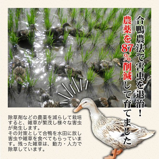 y֒򒬁zyߘa7NYāzyVāz_87%팸@RVqJā@_@@10kg(ʍ͔|āAFÔ֒Rāj