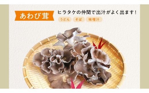 【 3ヶ月連続定期便 】きのこ の 詰め合わせ Sサイズ ( 約1kg ) （茨城県共通返礼品：城里町） キノコ セット 野菜 低カロリー ダイエット デトックス バラエティ セット 新鮮 [DY005us]