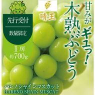 先行予約 晴王 木熟ぶどう ハレノシャイン シャインマスカット晴王 1房 約700g 9月～11月発送 種無し 皮ごと食べる みずみずしい 甘い フレッシュ 糖度保証 厳選品質 冷蔵 瀬戸内 果物大国 ハレノフルーツ