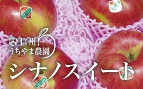 甘～いりんご『シナノスイート』約5kg (約12～16玉)《信州うちやま農園》■2025年発送■※10月上旬頃～10月下旬頃まで順次発送予定 