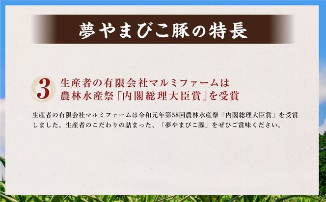 「夢やまびこ豚」厳選バラエティパック 1.0kg | 豚肉 肉 詰め合わせ セット トンカツ 小分け 真空パック 冷蔵 送料無料