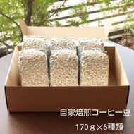 【挽き方：中細挽き】お家でカフェ♪アメリカンスペシャリティ認定豆170ｇ×6袋 322032_DC001VC03