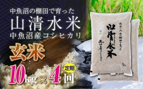 【定期便／全4回】玄米10kg 新潟県魚沼産コシヒカリ「山清水米」 