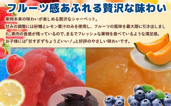 北海道 豊浦町 ブルーベリー いちご メロン シャーベット 5本×3種 【 ふるさと納税 人気 おすすめ ランキング 果物 メロン めろん 果物 いちごイチゴ 苺 イチゴシャーベット ブルーベリー メロンシャーベット 食べ比べ おいしい 美味しい 甘い 北海道 豊浦町 送料無料 】TYUN017