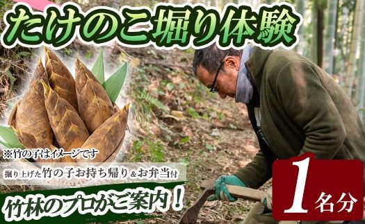 a931 ＜先行予約受付中！2027年3月中旬～4月中旬まで体験分＞竹の子堀り体験(1名様：昼食・タケノコ5kgお持ち帰り付) たけのこ タケノコ 筍 竹の子 体験 【夢竺山株式会社】