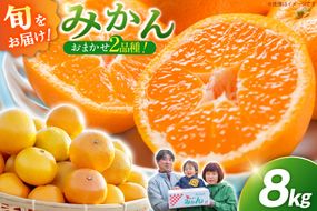 DC003 【令和8年12月中旬から順次発送】森崎果樹園 こだわり 旬のみかんセット 8kg [みかん ミカン 旬 8キロ 長崎県 島原市]
