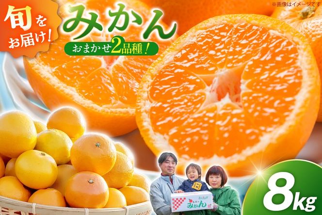 DC003 【令和8年12月中旬から順次発送】森崎果樹園 こだわり 旬のみかんセット 8kg [みかん ミカン 旬 8キロ 長崎県 島原市]