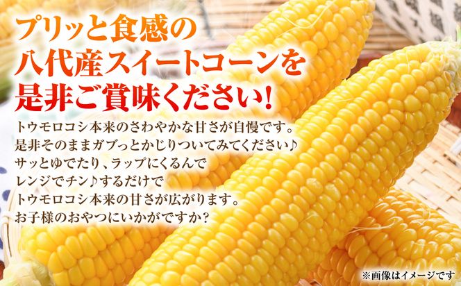 【先行予約】プリッとジューシー！ 熊本県 八代市産 スイートコーン ゴールドラッシュ 約4.5kg (13～16本) とうもろこし トウモロコシ コーン 甘い 朝採り 高糖度 BBQ  熊本県 八代市 【2026年6月上旬より順次発送】