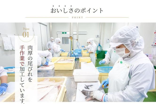 ふかひれ姿煮 紅焼姿煮50g [石渡商店 宮城県 気仙沼市 20565574] フカヒレ スープ 気仙沼 ふかひれ スープ ふかひれスープ 鱶鰭 レトルト 中華 豪華