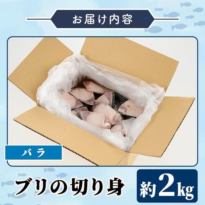 ブリの切り身(バラ・約2kg) 国産 鹿児島県産 ブリ 鰤 魚貝 魚介 海産物 焼き魚 煮つけ ブリカツ バラ 【株式会社島水】akn102-02