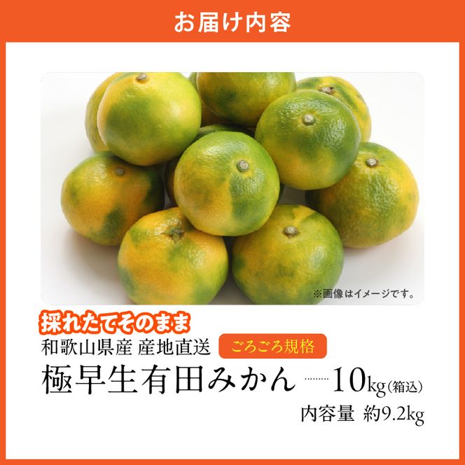 MK1078_【2026年先行予約】みかん 極早生 山から直送 箱込 10kg ( 内容量 9.2kg ) 採れたてそのままごろごろ規格 有田みかん 和歌山県産
