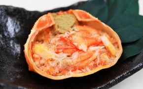 21-40 紅ずわいがに甲羅盛り(100ｇ×10個)