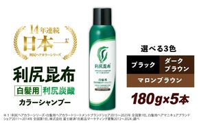 【5本入】［白髪用］利尻炭酸カラーシャンプー 糸島市 / 株式会社ピュール ヘアケア シャンプー [AZA046] シャンプー 白髪染め カラーシャンプー メンズ レディース ブラック 5本