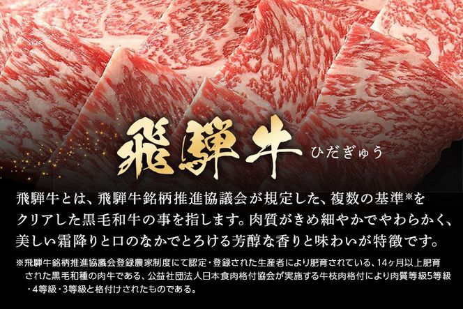飛騨牛 A5等級 ロース 500g 焼肉用  冷蔵配送 焼肉 焼き肉 バーベキュー BBQ キャンプ アウトドア 牛肉 肉 お肉 FC-48
