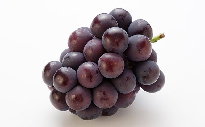 桃 ぶどう 定期便 2026年 先行予約 岡山満喫！ 清水 白桃 約2.0kg 6～8玉 ぶどう 2種 詰合せ 2回に分けてお届け!