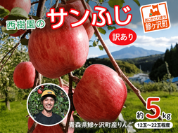 《先行予約》 りんご 訳あり サンふじ 青森県産 約 5kg  (12～22玉） 家庭用 フルーツ 果物 ふじ 産地直送 お取り寄せ 送料無料 青森県 鰺ヶ沢町 《西樹園》