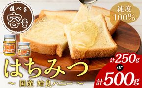 a1002 《期間限定！》選べる容量！姶良ハニー(250g・500g)【原電設工業】姶良市 国産 ハチミツ はちみつ 蜂蜜 百花蜜 蜜 常温 常温保存