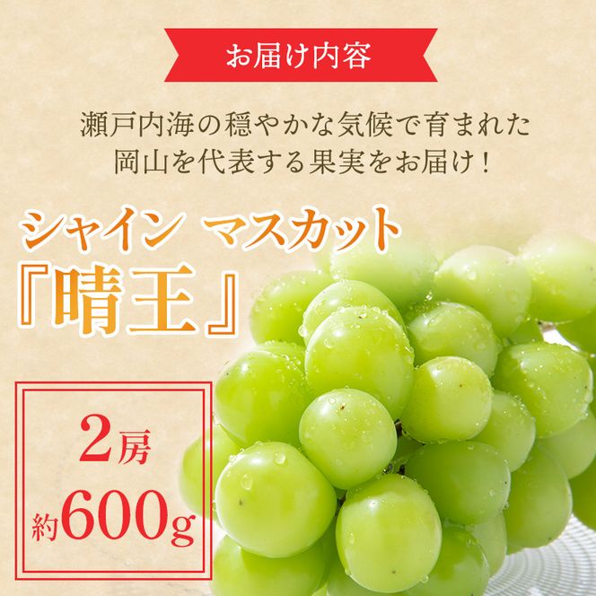 ぶどう 2026年 先行予約 シャイン マスカット 晴王 約600g×2房 ブドウ 葡萄  岡山県産 国産 フルーツ 果物 ギフト 果物類 