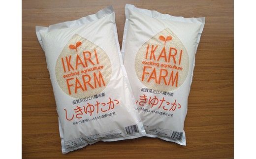 【新米　先行予約】令和8年産すっごいもちもち 「しきゆたか」 白米【10kg(5kg×2袋)】【C071W】