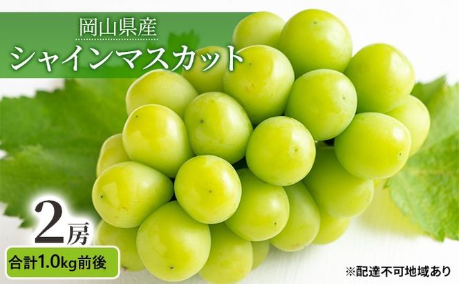 ぶどう 2026年 先行予約 シャインマスカット 晴王 2房 合計1.0kg前後 マスカット ブドウ 葡萄  岡山県産 国産 フルーツ 果物 ギフト 