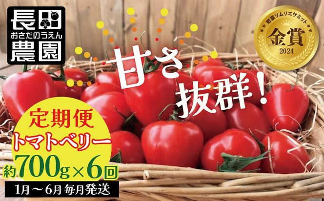 【先行受付】2027年1月～6月毎月発送 　幻のミニトマト トマトベリーの定期便 約700g×6回コース ソムリエサミット 金賞 受賞 長田農園 産地直送 トマト とまと 野菜 やさい フルーツ サラダ 濃厚 甘い ご褒美 プレゼント 美容 健康 リピート多数 人気 高評価 数量限定 碧南市 H004-253