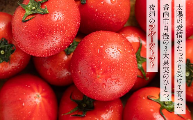 【2回定期便】夜須のフルーツトマト 約2kg 【旅サラダに取り上げられました！】 高知県 夜須のフルーツトマト 高糖度 人気 ランキング 高知 甘い 夜須 高品質 - フルーツトマト トマト 贈り物 ご褒美 野菜 おかず サラダ Wyu-0026