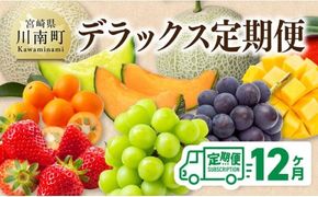 【 12ヶ月定期便 】 デラックス 定期便 【 川南町産 くだもの きんかん いちご 完熟 マンゴー ぶどう ピオーネ シャイン マスカット 大玉 メロン 】[B11701t12]