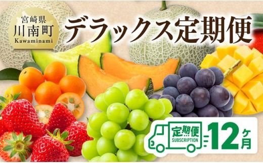【 12ヶ月定期便 】 デラックス 定期便 【 川南町産 くだもの きんかん いちご 完熟 マンゴー ぶどう ピオーネ シャイン マスカット 大玉 メロン 】[B11701t12]