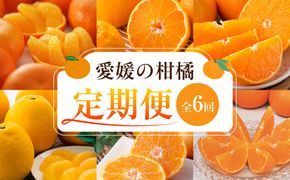 【愛媛県共通返礼品】【定期便】愛媛の柑橘定期便（全6回）（日の丸みかん・紅まどんな・いよかん・デコポン・せとか・河内晩柑） ※2026年11月～2027年4月に毎月1回発送予定 IKTAX018