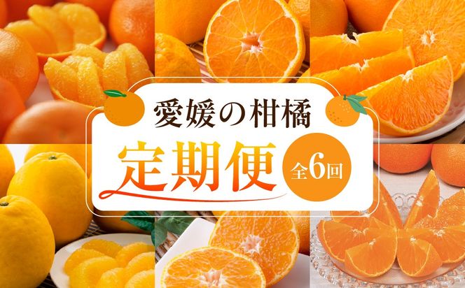 【愛媛県共通返礼品】【定期便】愛媛の柑橘定期便（全6回）（日の丸みかん・紅まどんな・いよかん・デコポン・せとか・河内晩柑） ※2026年11月～2027年4月に毎月1回発送予定 IKTAX018