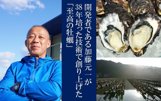 牡蠣 生食用 殻付き くにさきオイスター 特大サイズ12個（殻付き重量150g～/個）　カキ oyster 生牡蠣_2361R-1