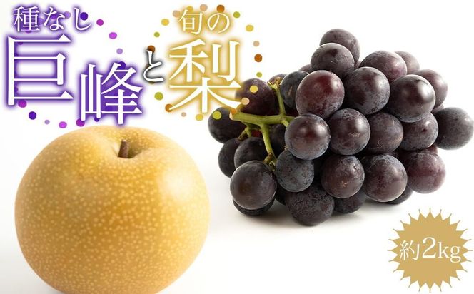 ［先行予約］種なし巨峰と旬の梨　約２kg［2026年8月上旬以降順次発送］  AZ02