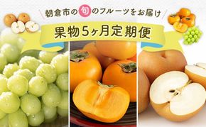 定期便 5ヶ月 果物 先行予約 シャインマスカット 梨 柿 果物 ※配送不可：離島