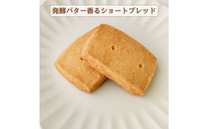 【グルテンフリー】家族みんなで楽しめる 米粉クッキー缶 250g以上 たっぷり詰め合わせ 272183_DH004