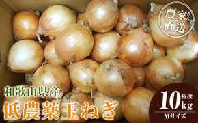 ［2026年発送分・先行予約］農家さん直送 低農薬玉ねぎ Mサイズ 10kg程度［4月中旬～7月中旬頃発送予定］［KF17］ 303446_BE90022