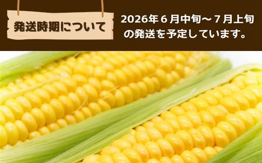 【先行予約】【6月中旬～7月上旬】朝採れとうもろこし 約5kg 13本 旬の品種でお届け！ SMBQ001