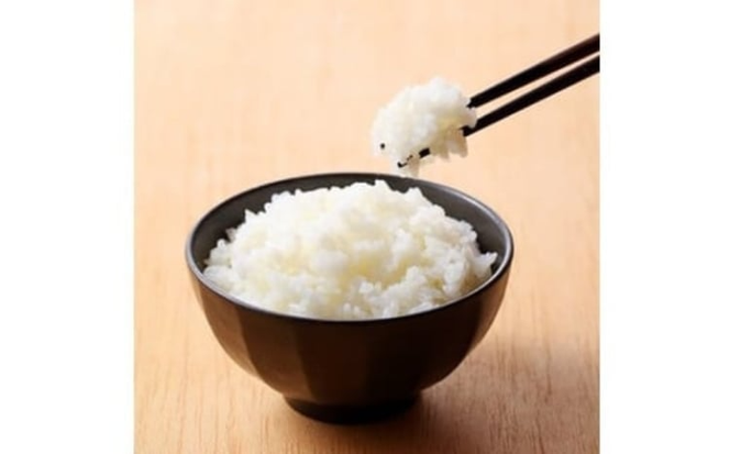 【令和7年産】 真庭市産コシヒカリ 米ぬか 牡蠣栽培米 『 一心良米 』 無洗米 5kg / お米 いっしんりょうまい 岡山県 こしひかり 人気 ブランド 2025年産 【tkns011-01-cho】